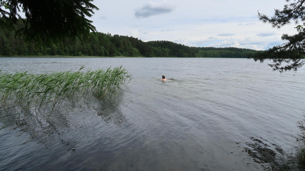 Без подписи