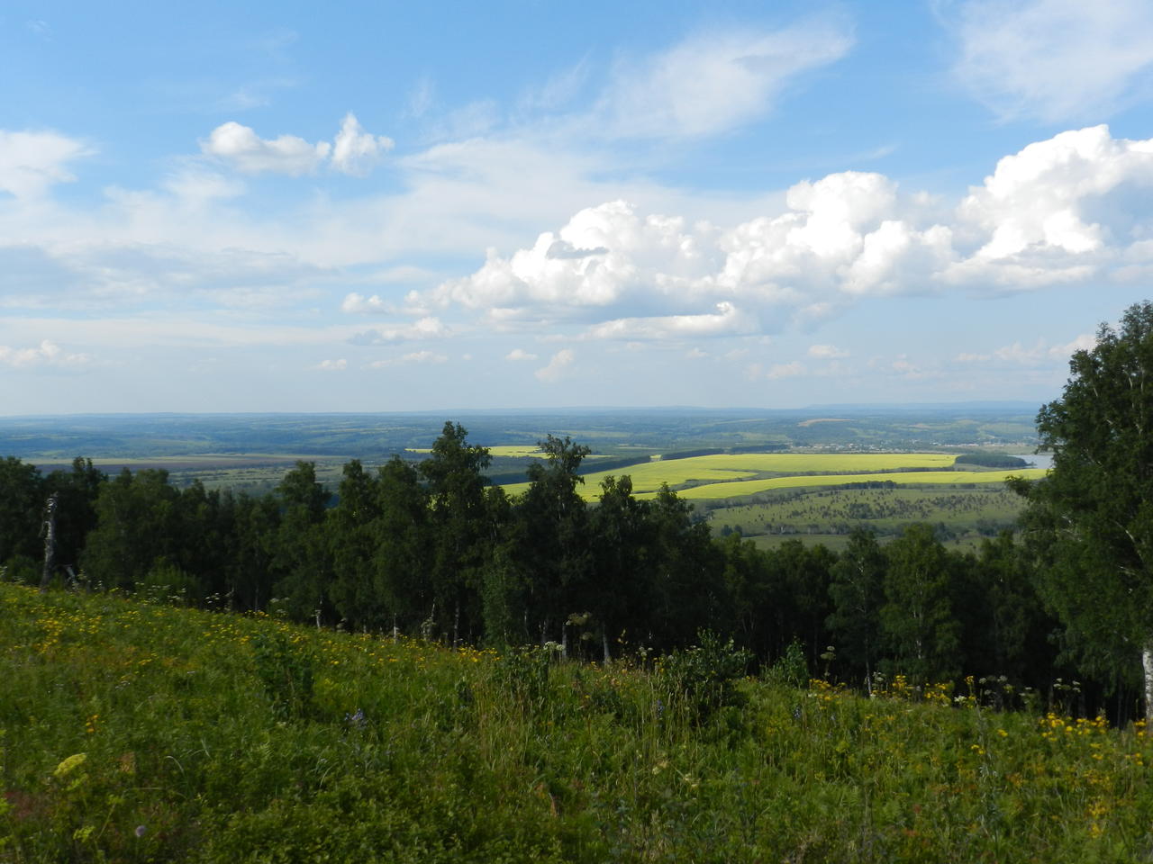 Без подписи