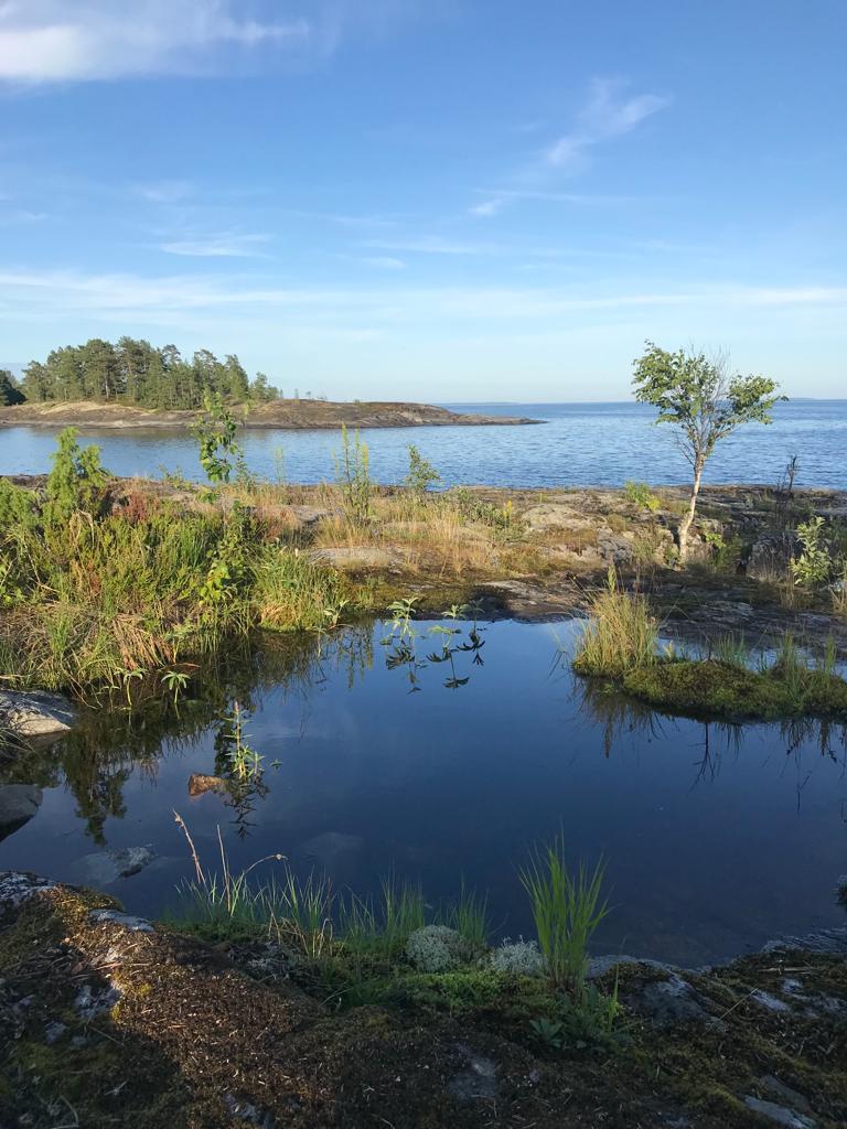 Без подписи