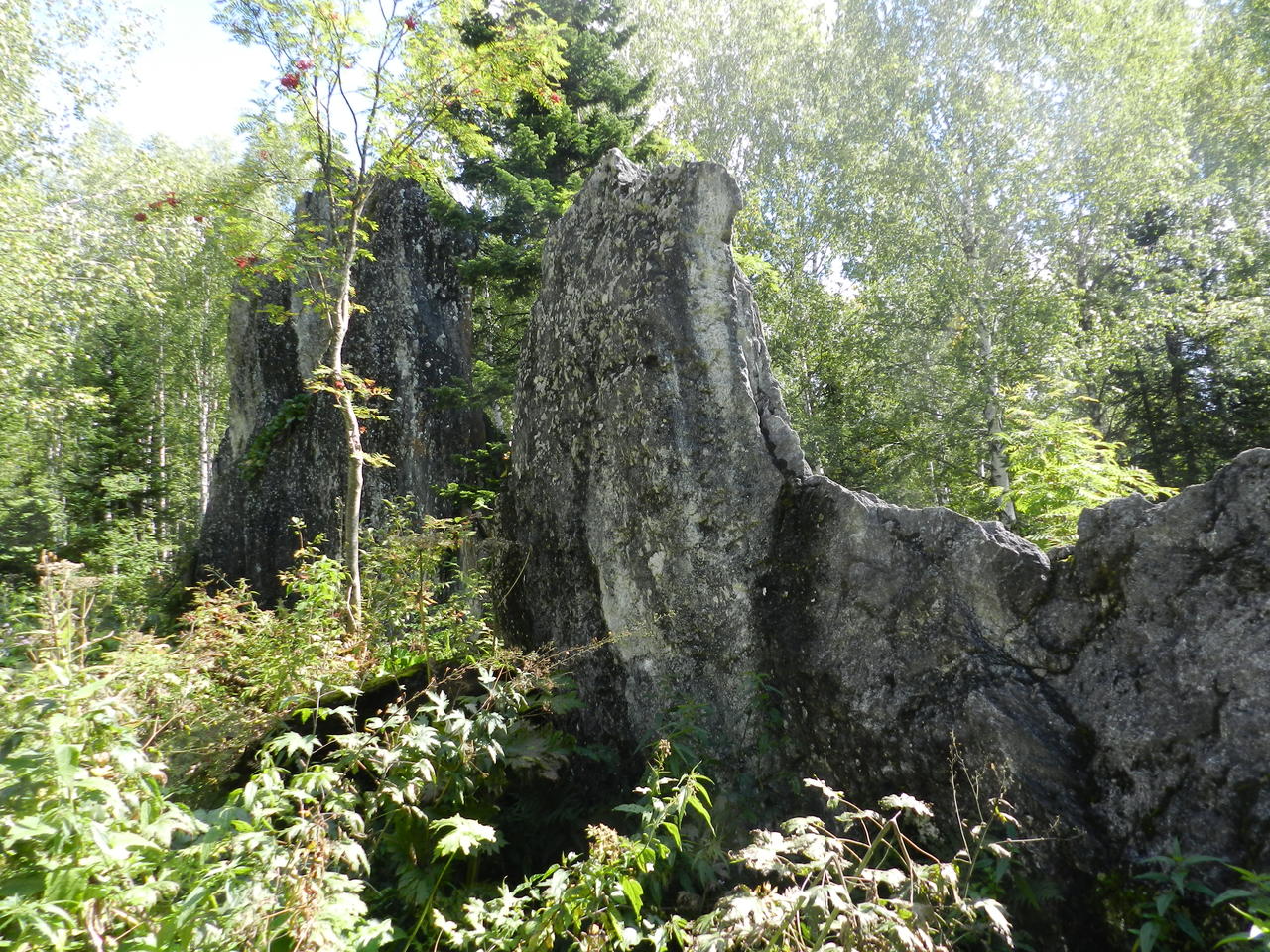 Плоские камни