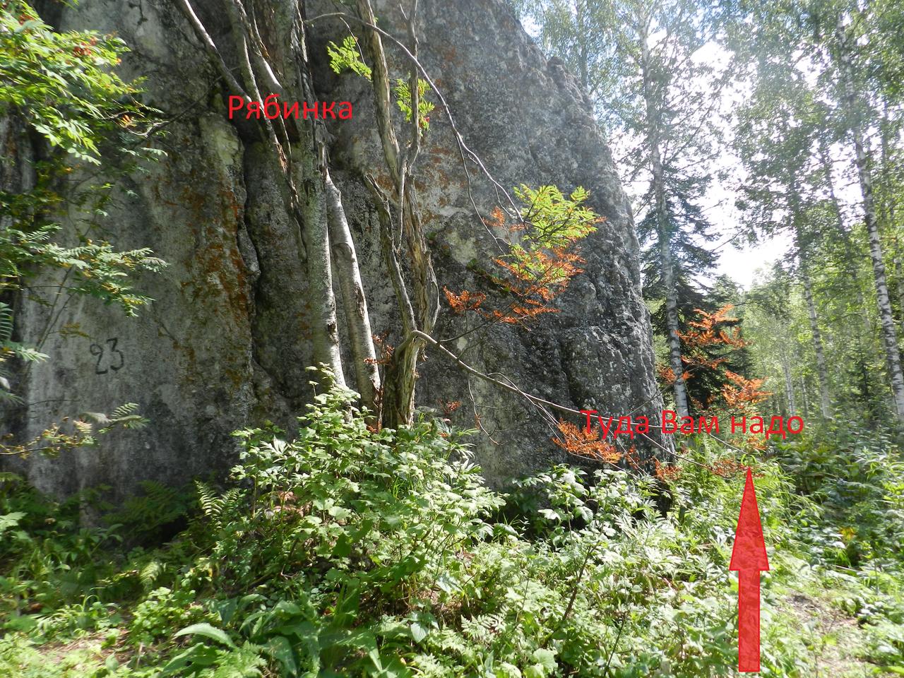 Вправо от тропы