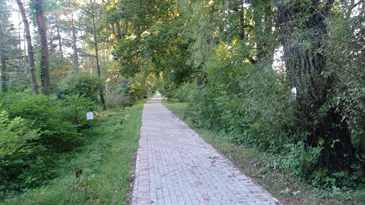 Без подписи