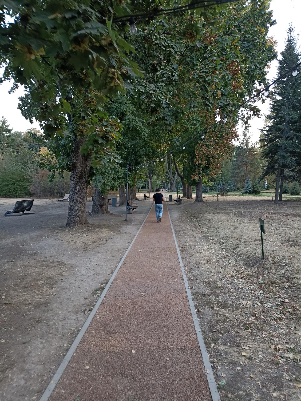 Без подписи