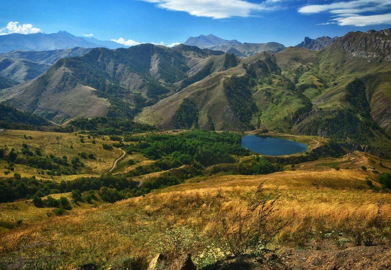 Без подписи