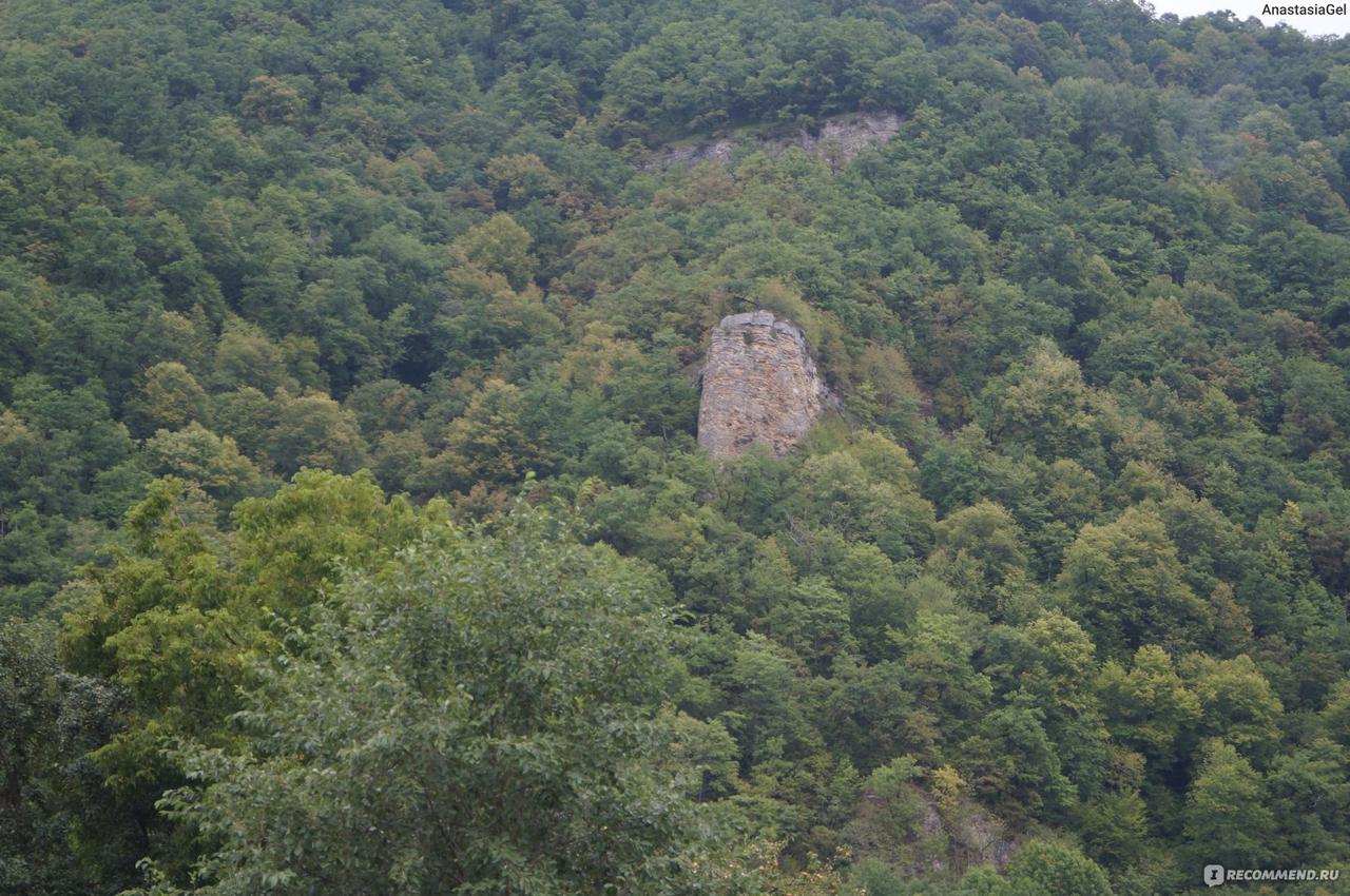 Паровозик выезжает из леса