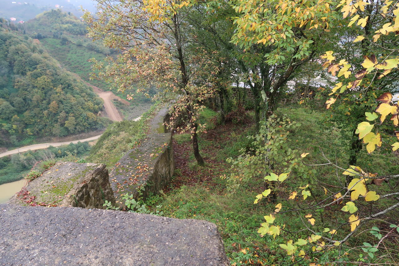 Без подписи