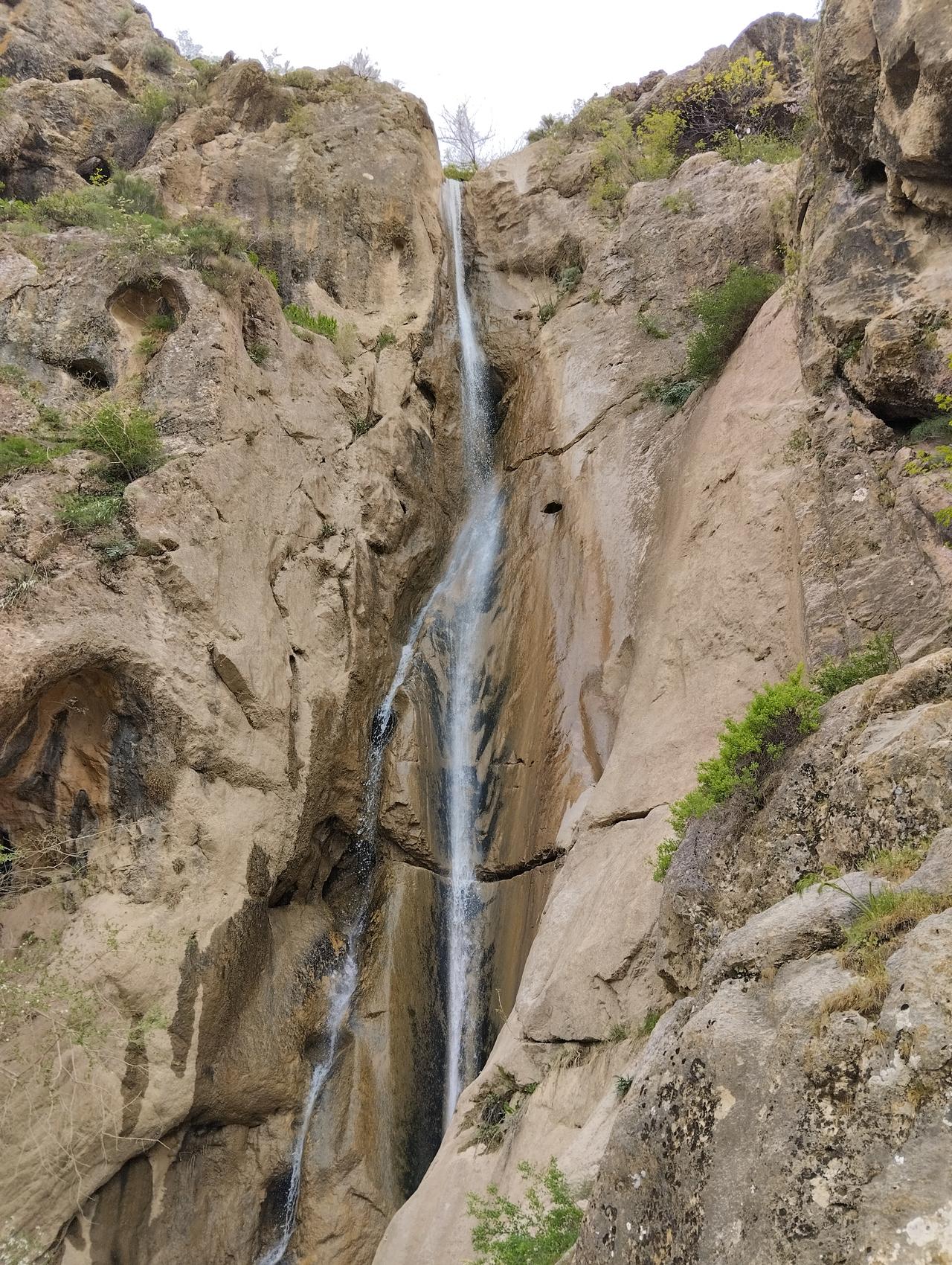 Без подписи