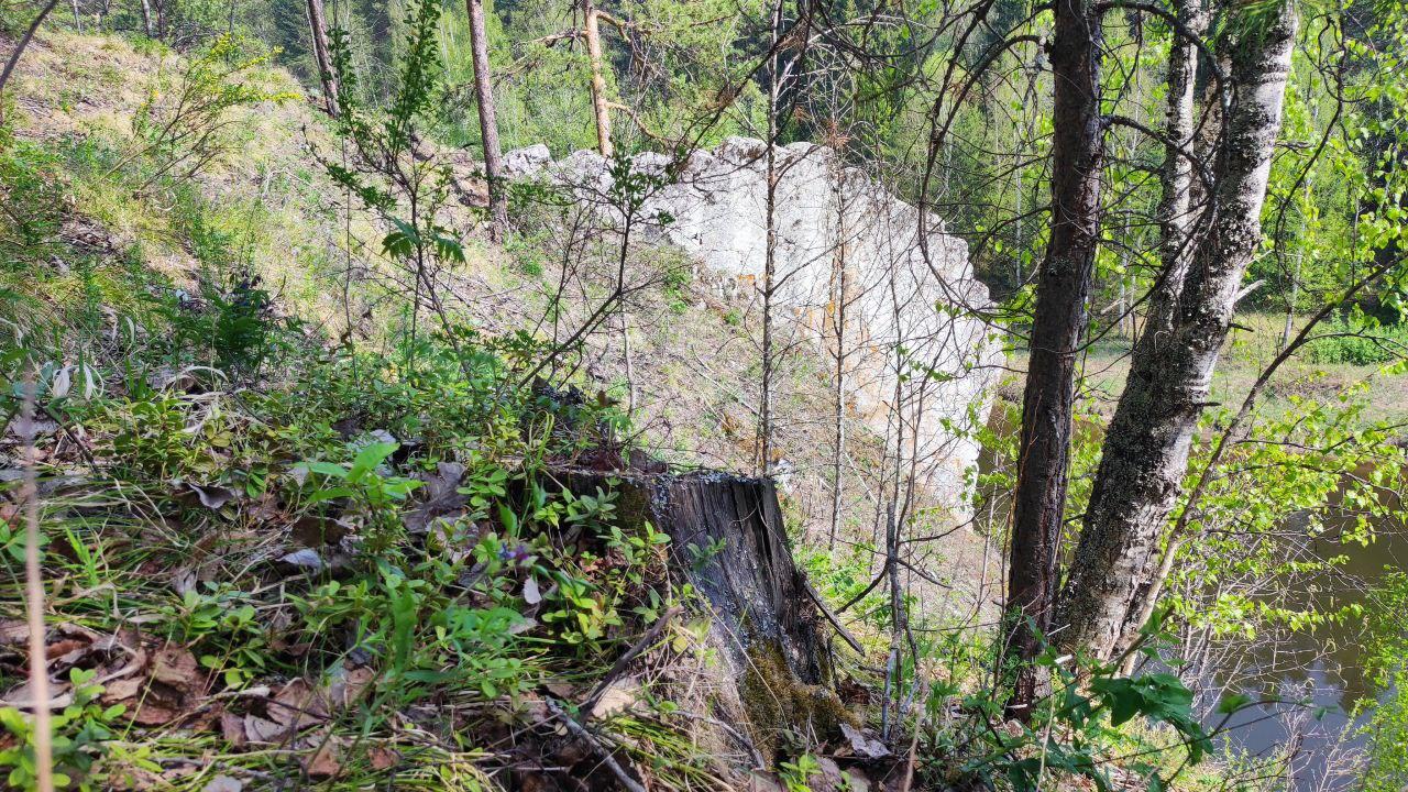 Пень на фоне гребня