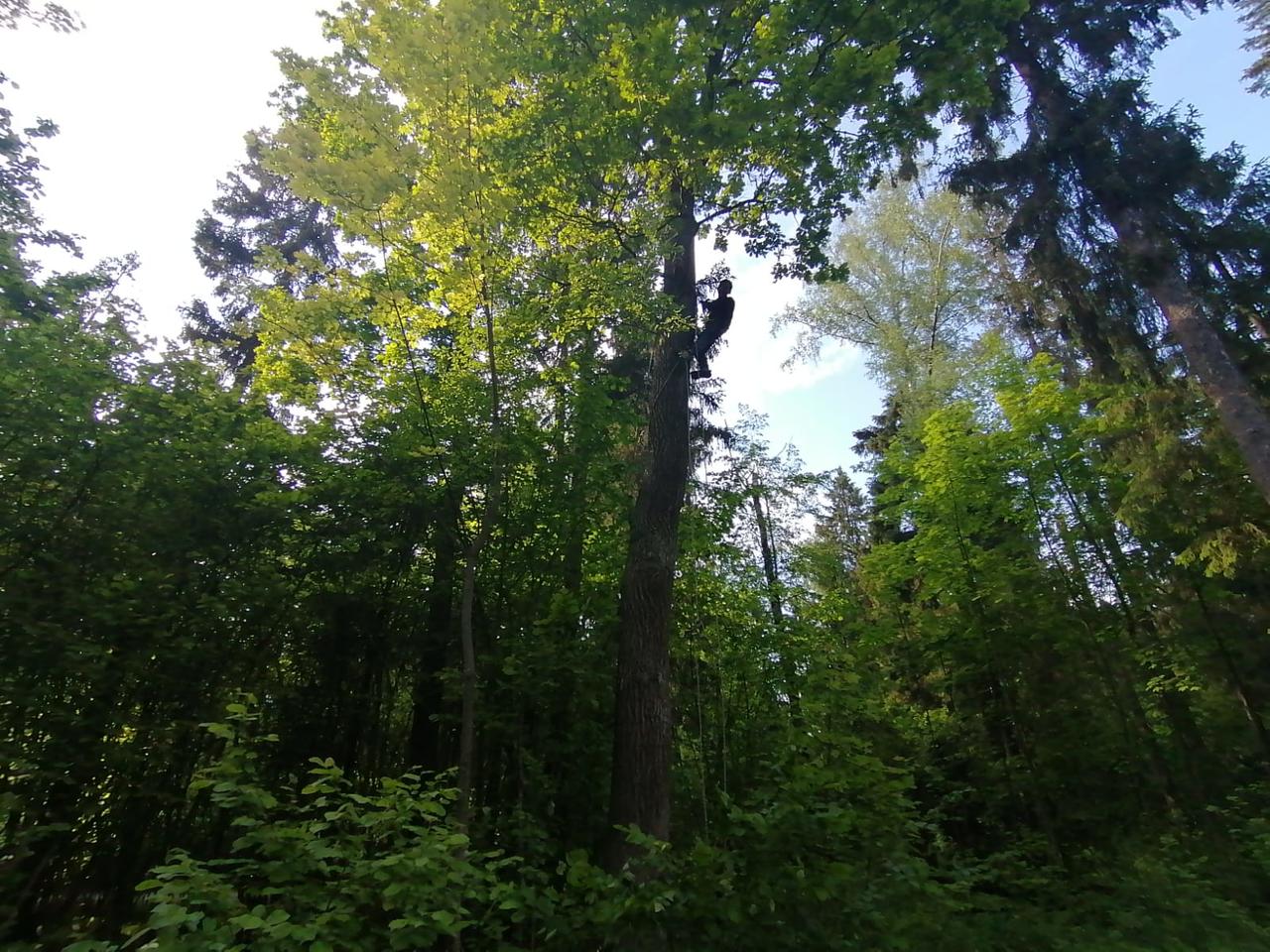 вариант взятия