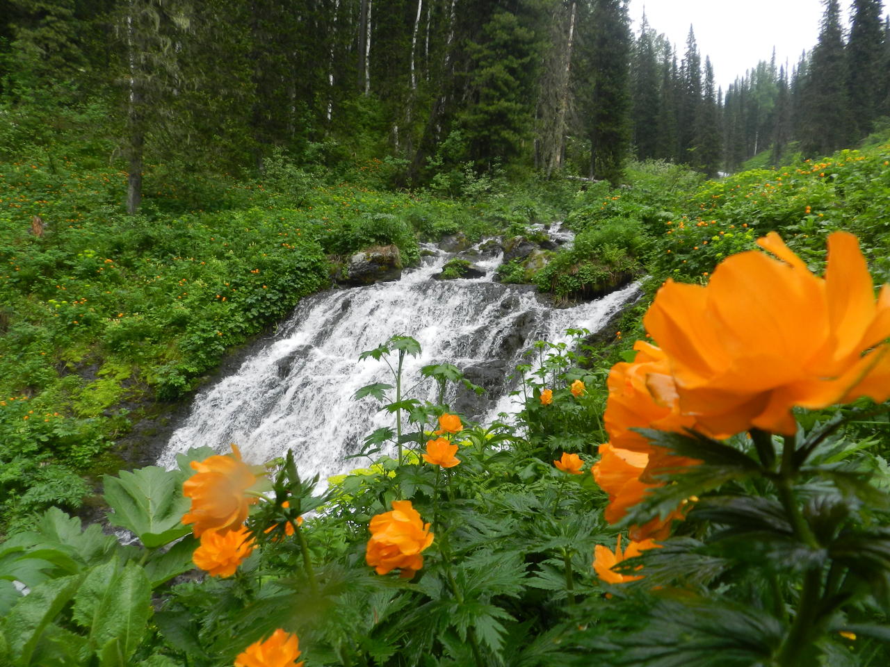 Тот самый водопад