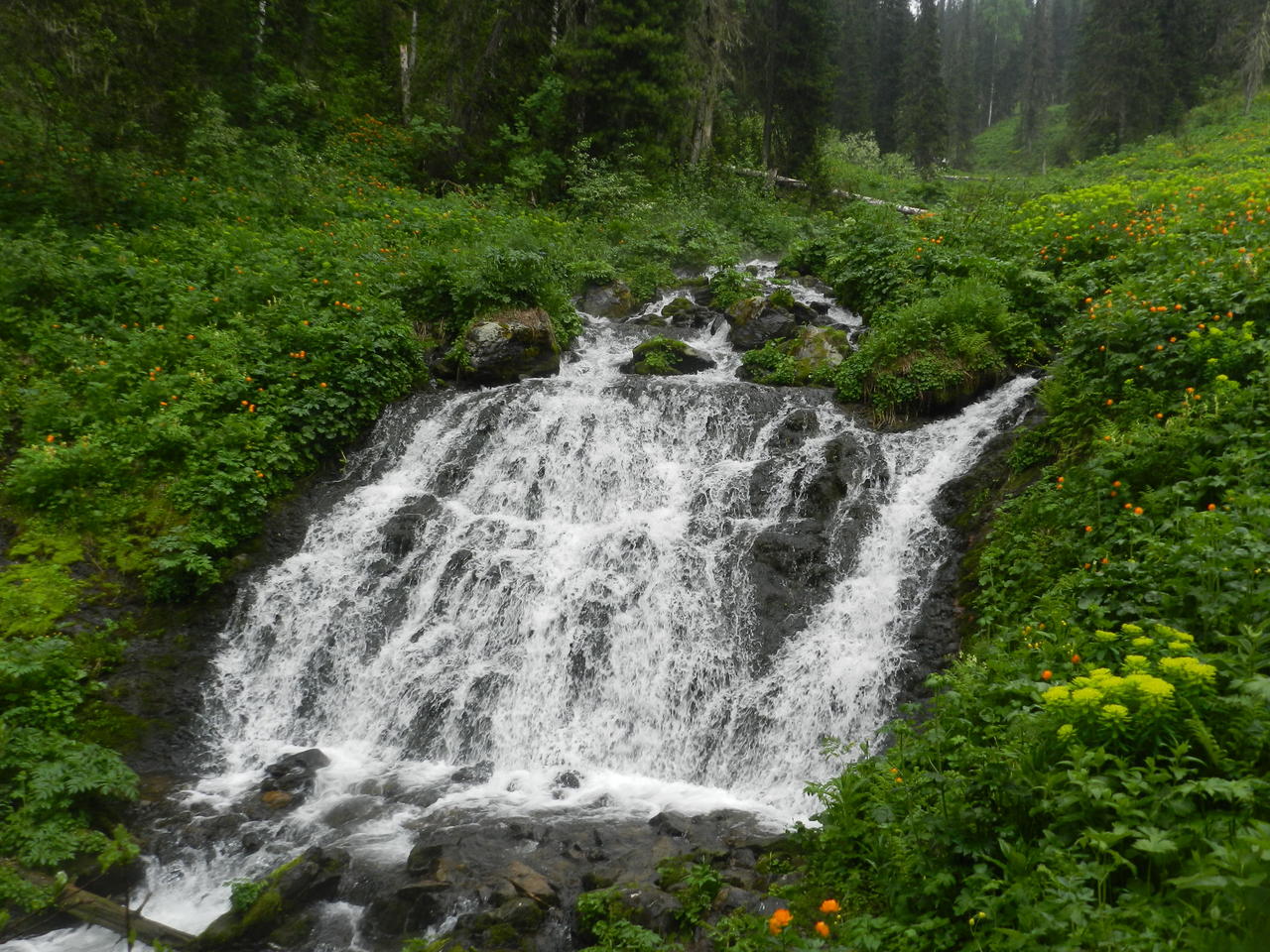 Без подписи