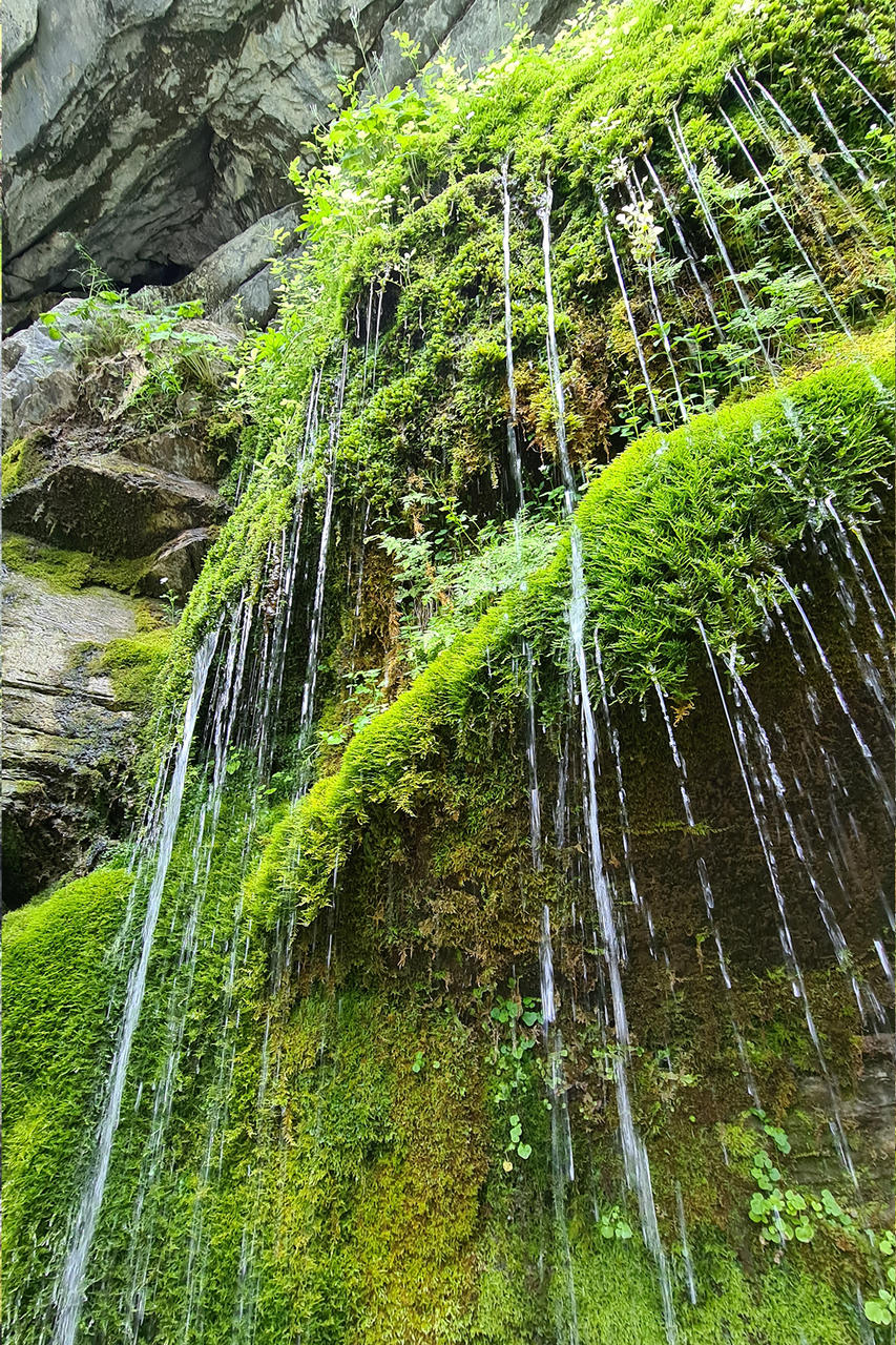 Без подписи