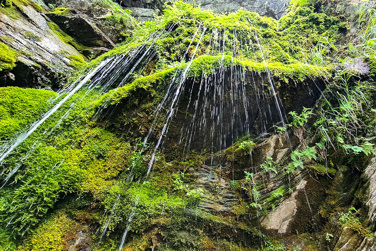 Без подписи