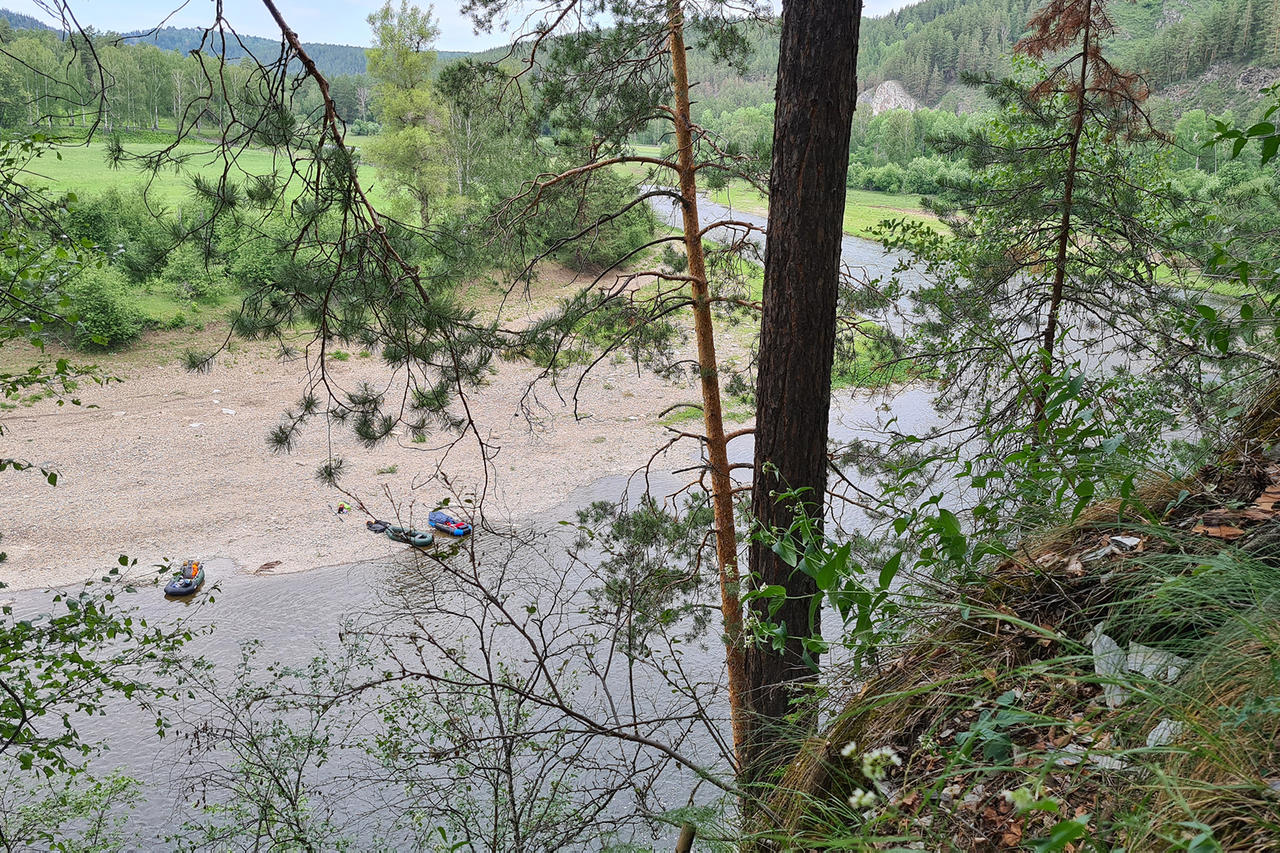 Без подписи