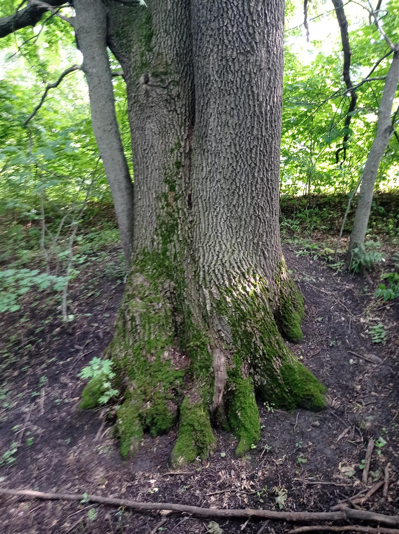 Без подписи