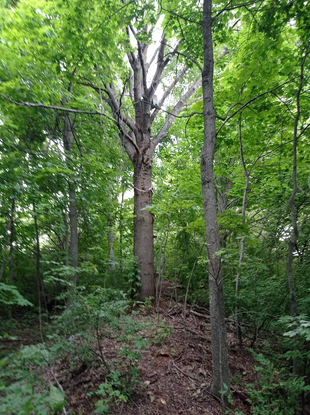 Без подписи