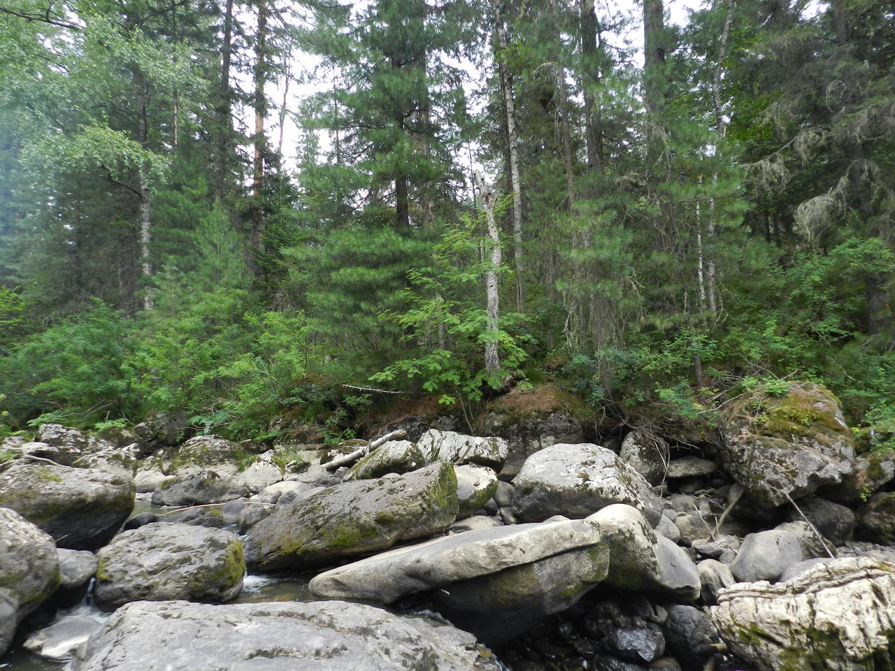 Вид на тайник