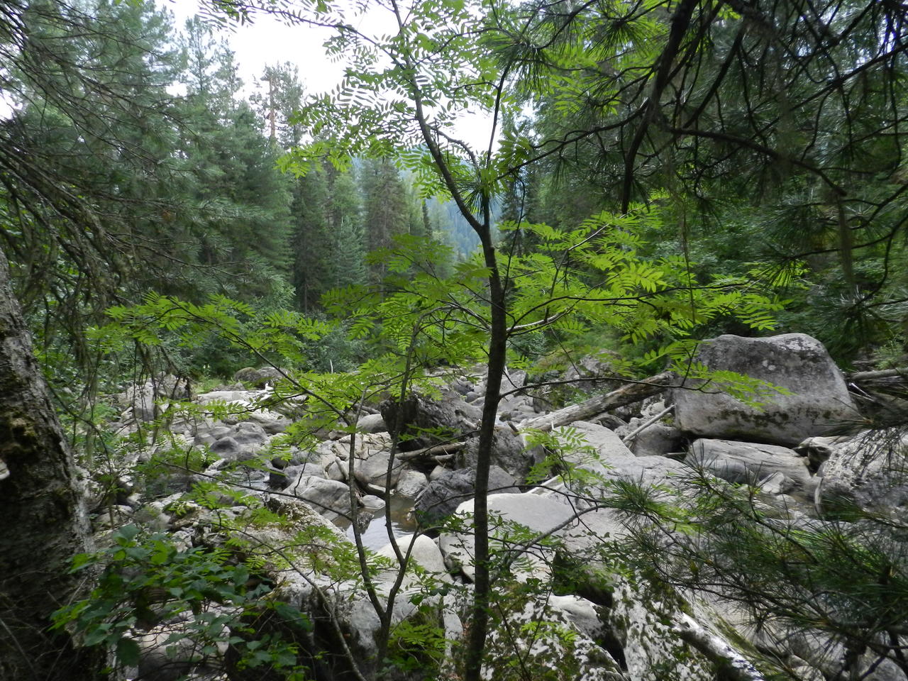 Вид от тайника