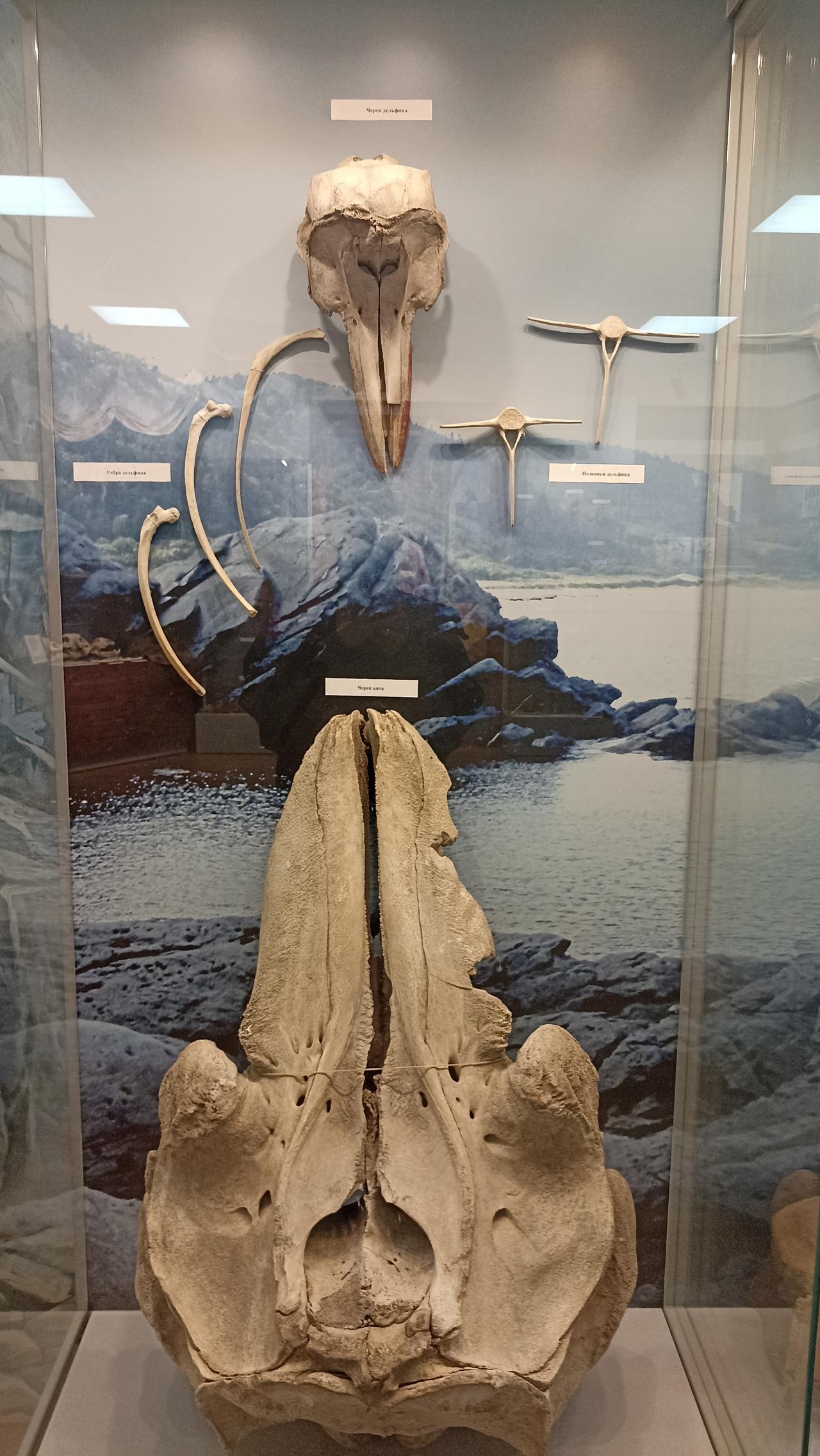 Без подписи