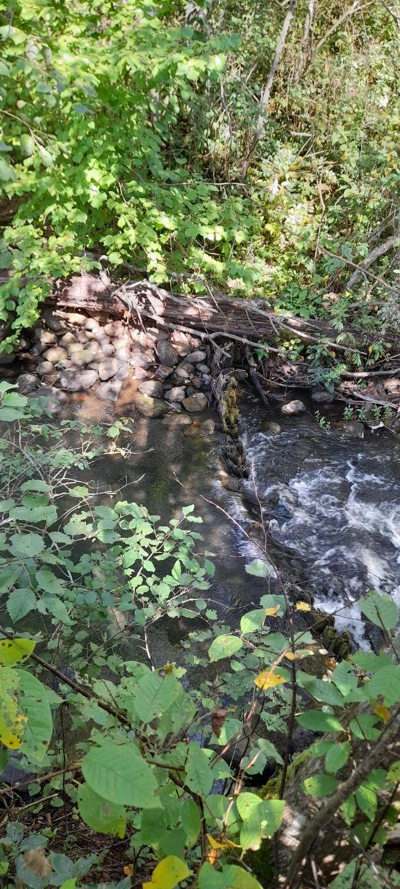 Без подписи