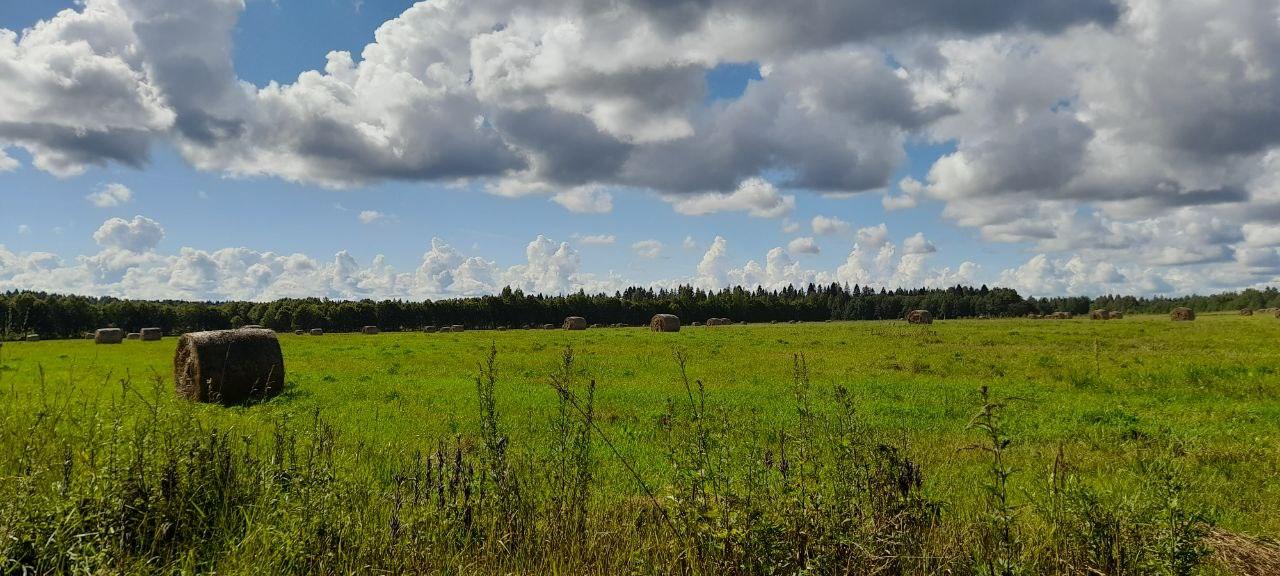 Без подписи