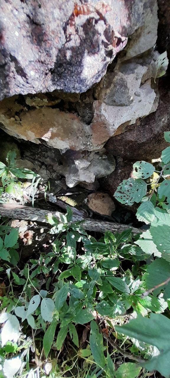 Без подписи