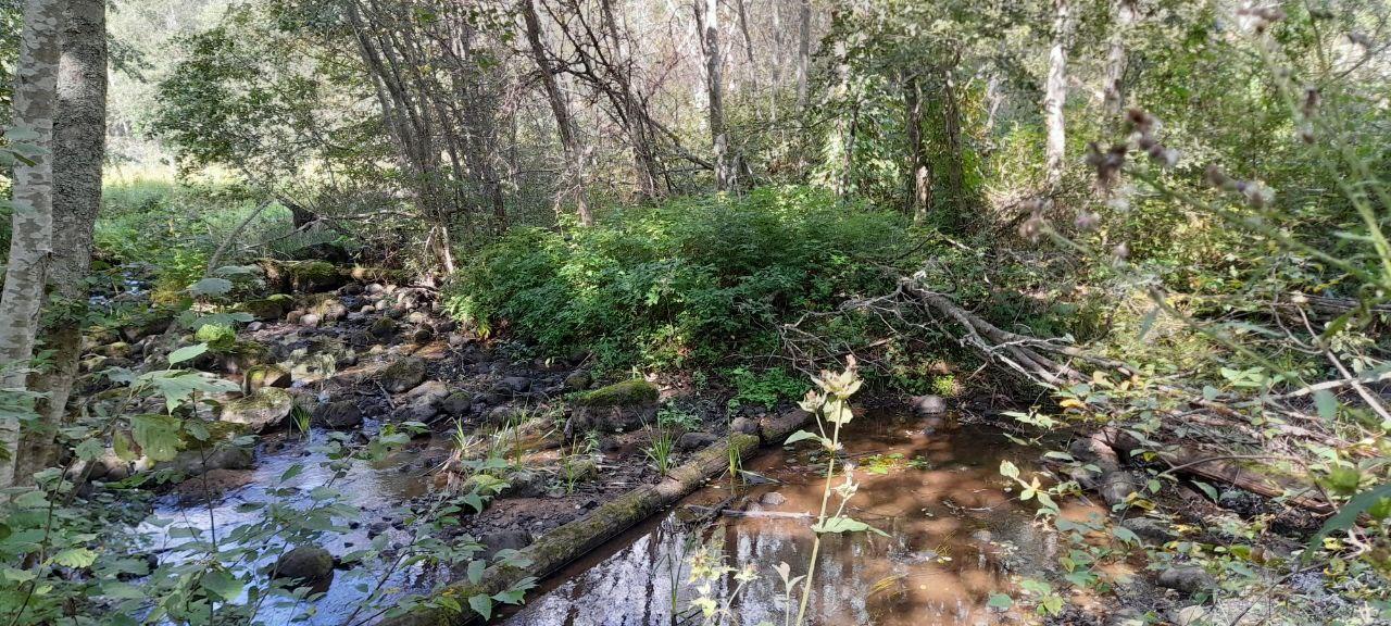 Без подписи