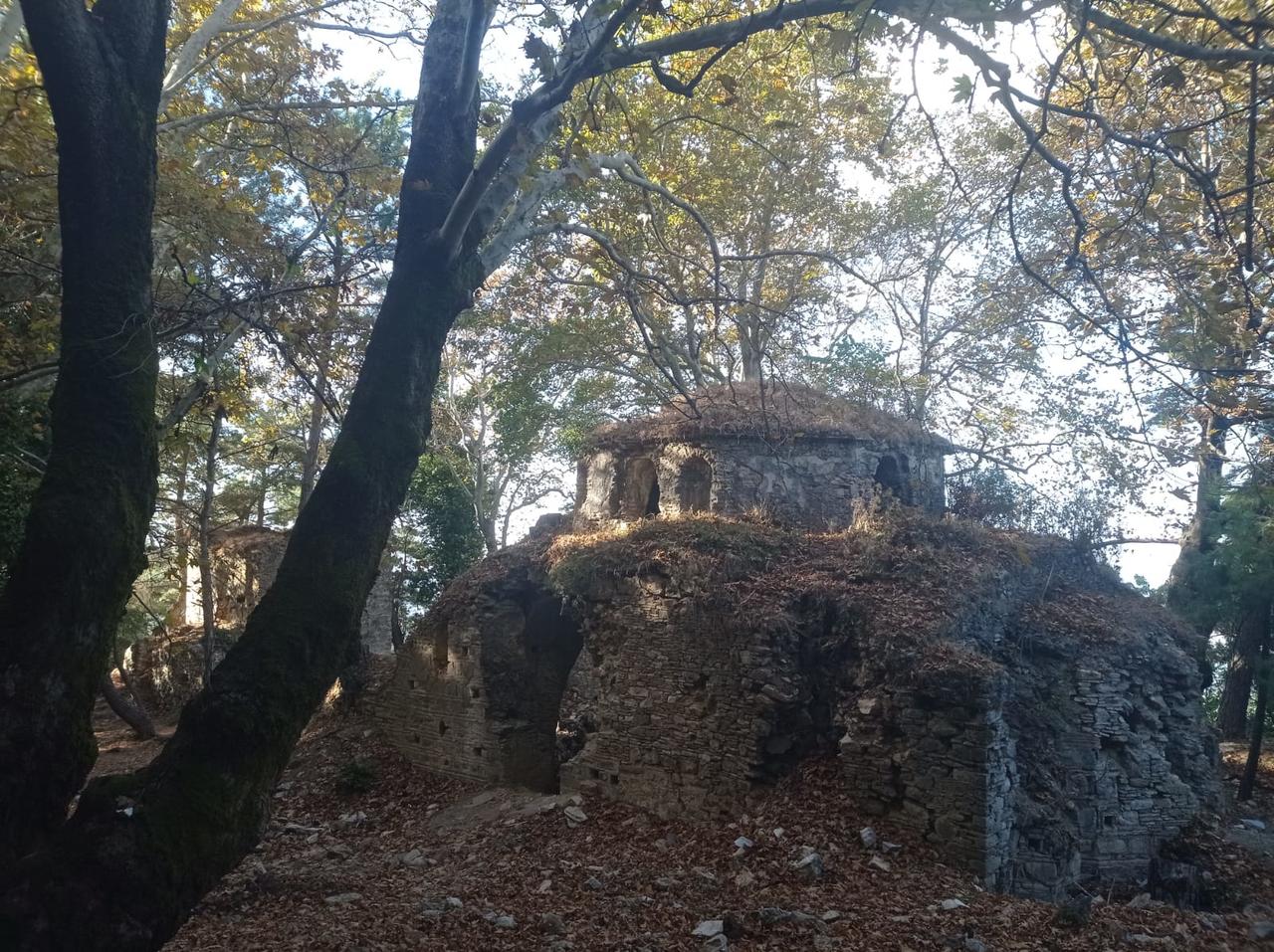 Без подписи