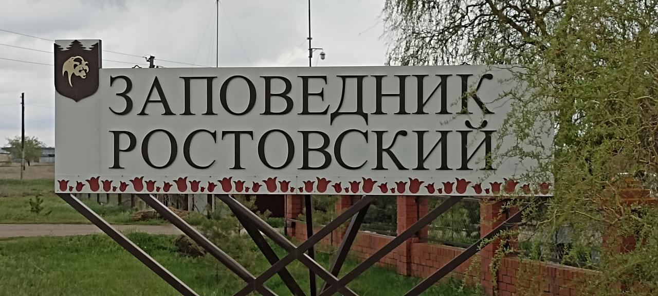 Без подписи