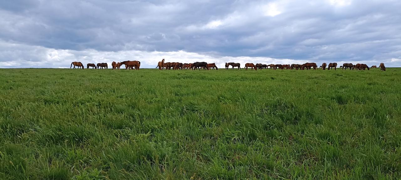 Без подписи