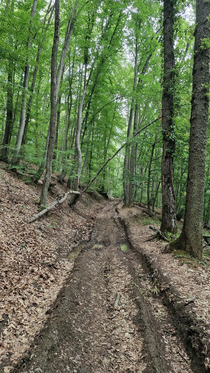 По дороге...