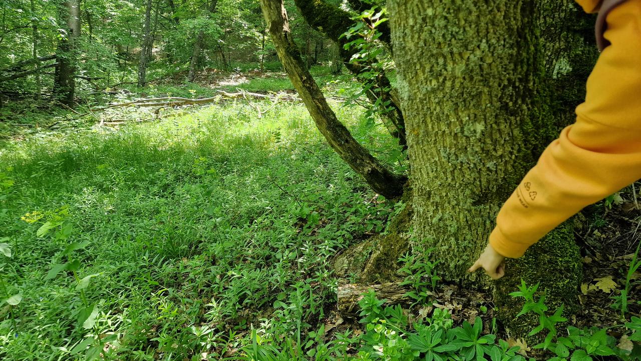 Без подписи