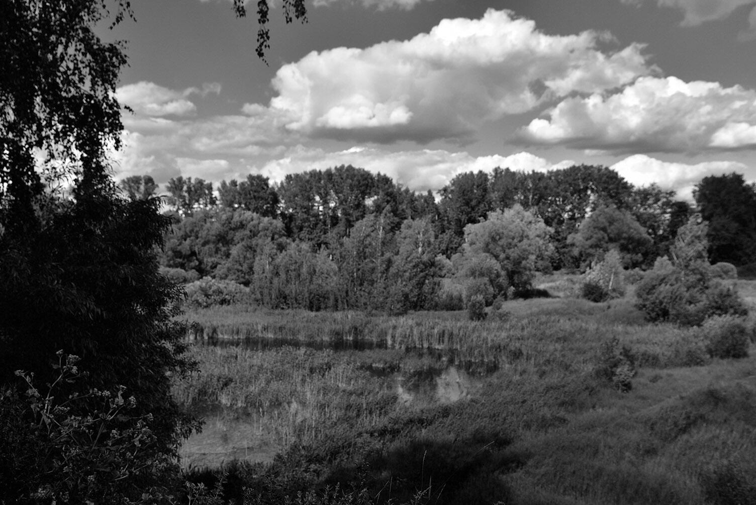 Вид на карьер от дачи Маяковского