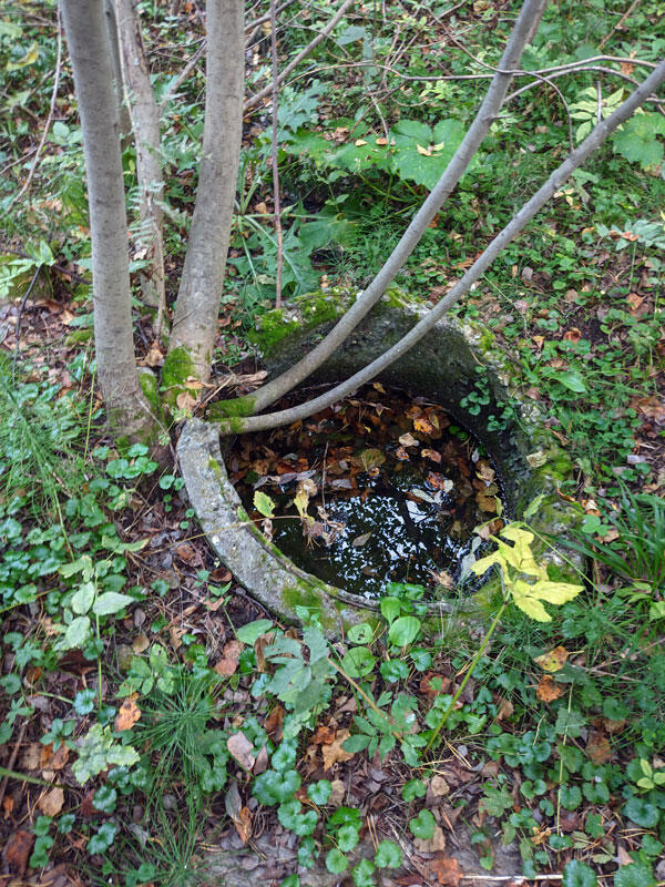 Без подписи