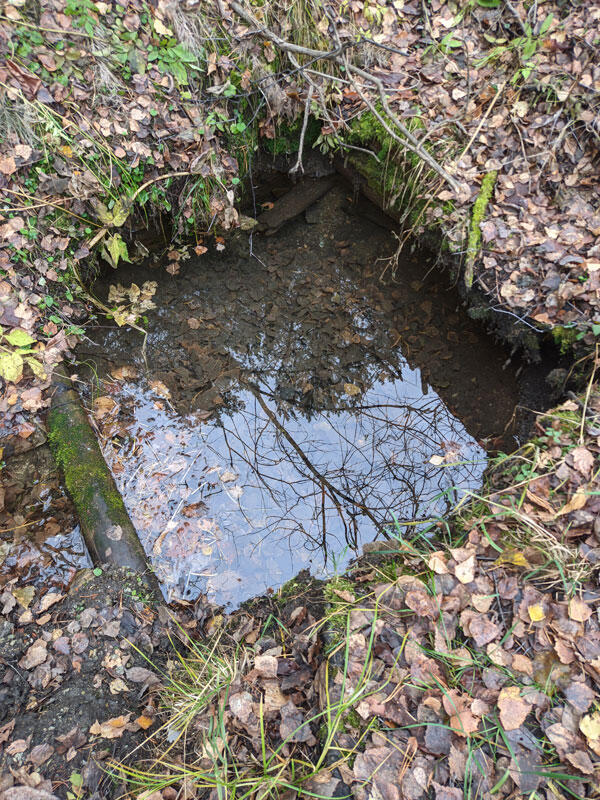 Без подписи