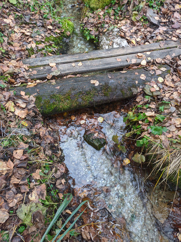 Без подписи