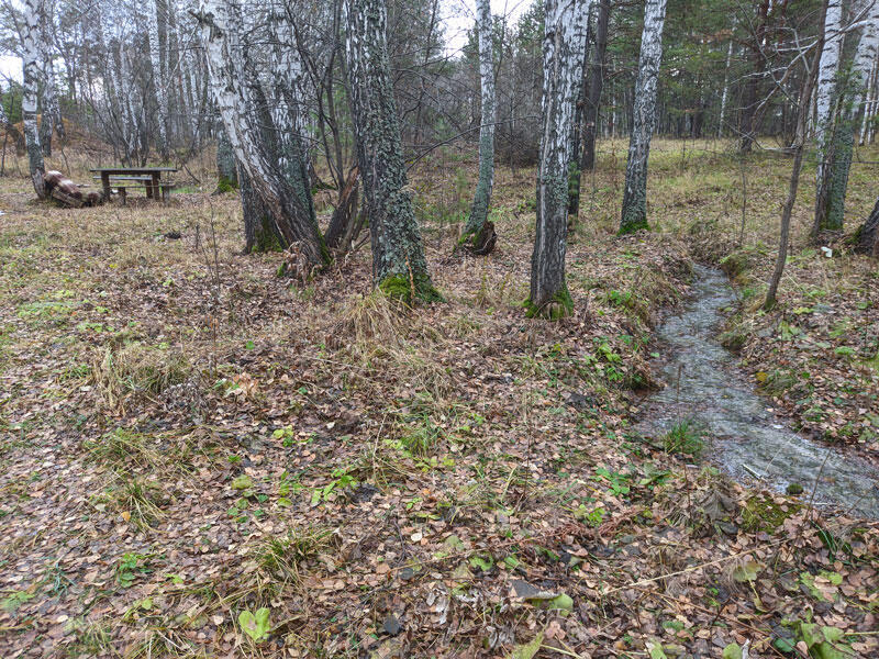 Без подписи