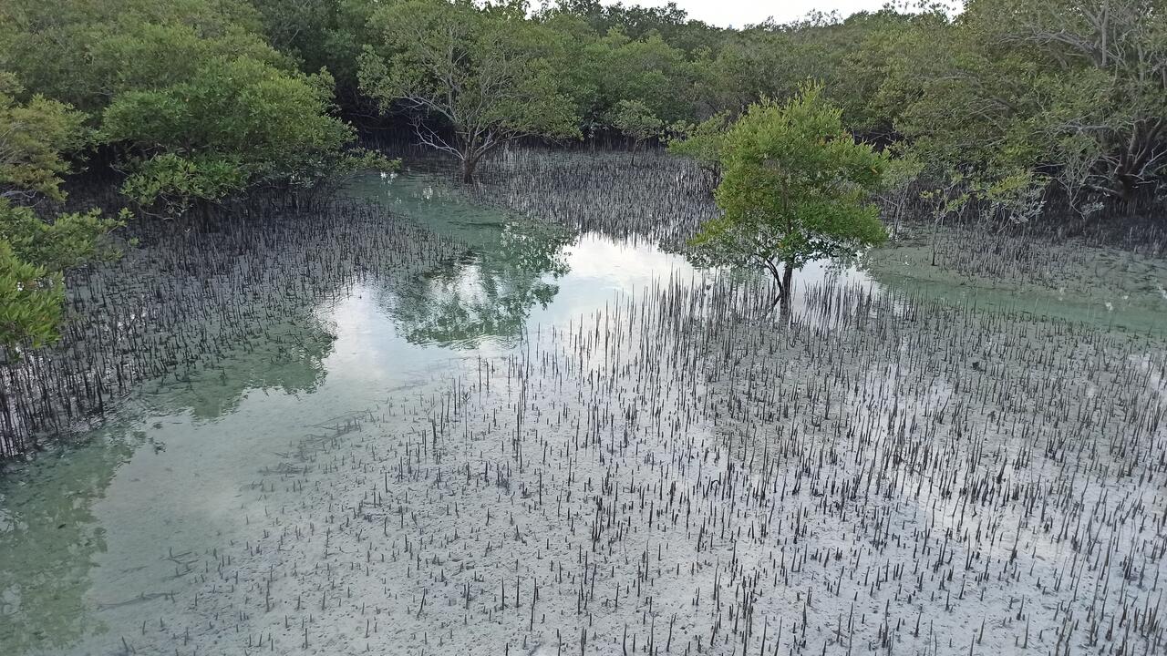 Во время отлива