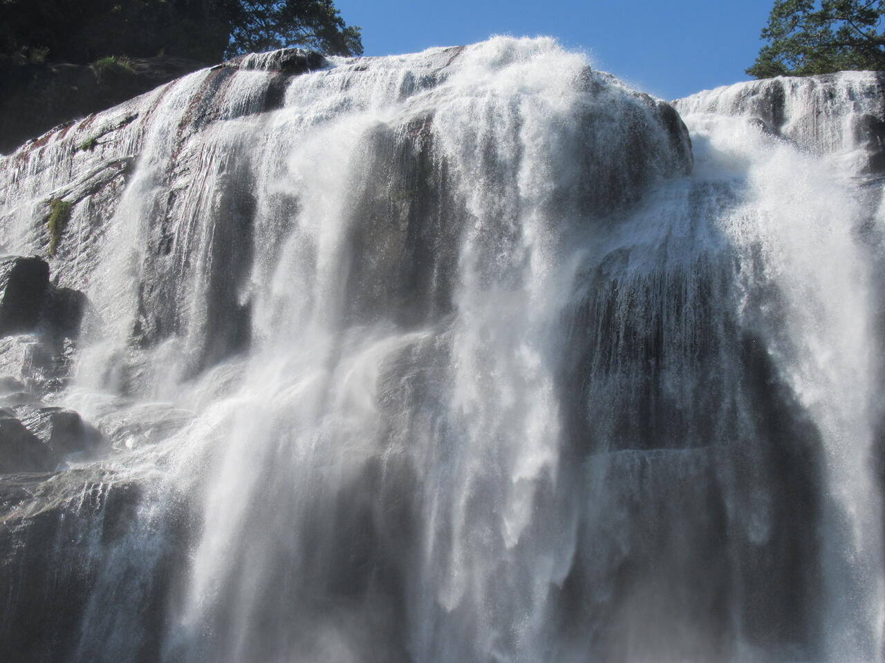 Без подписи