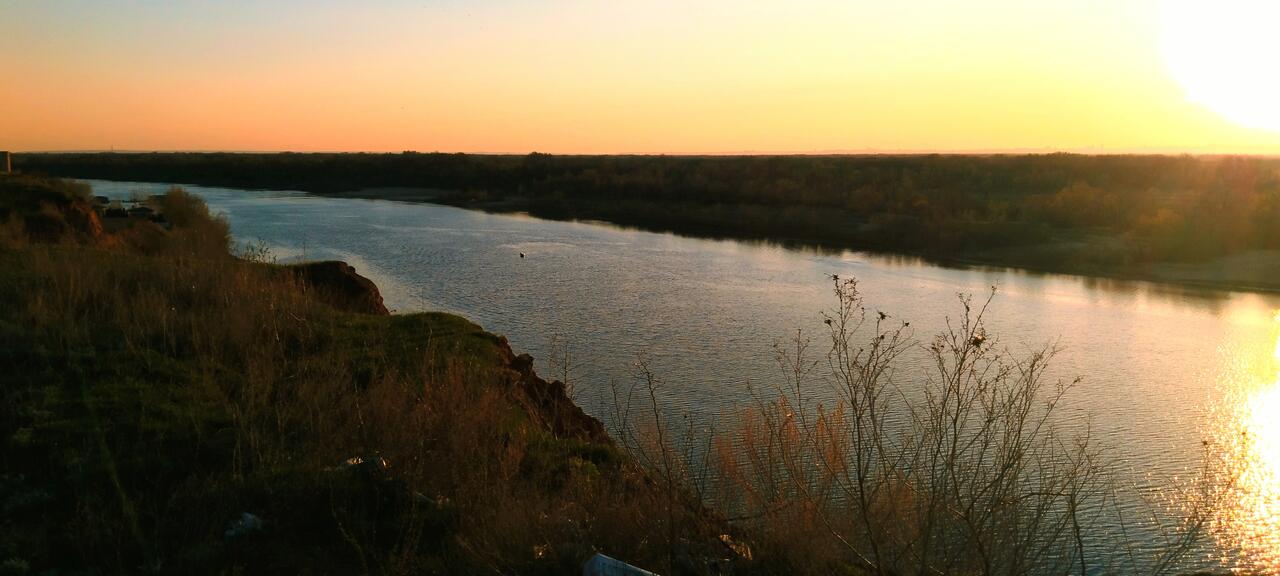 Без подписи