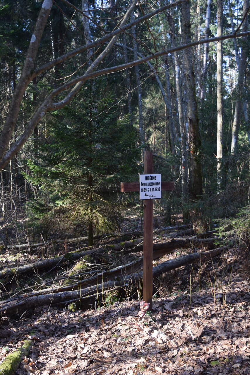 Без подписи