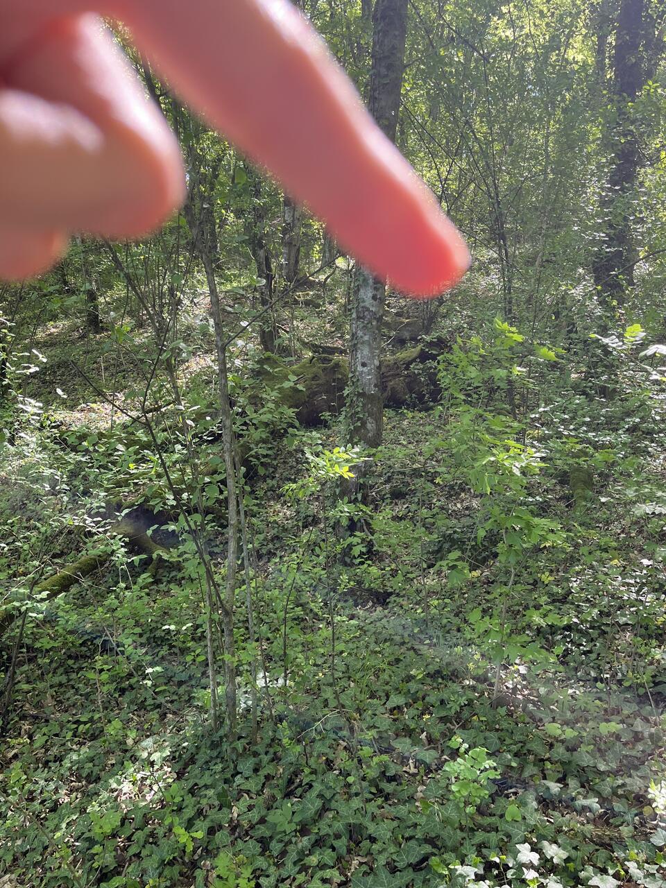 Без подписи