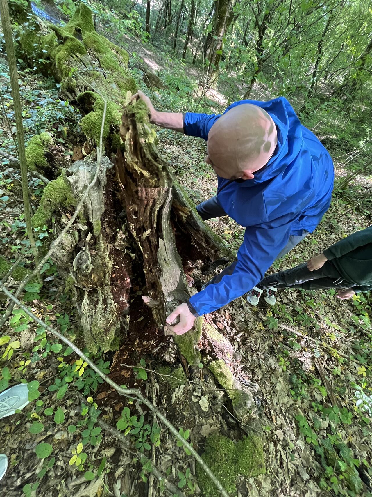 Без подписи