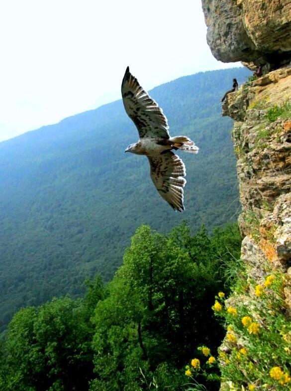 Без подписи