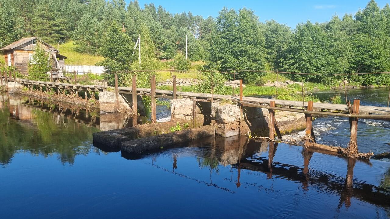 Без подписи