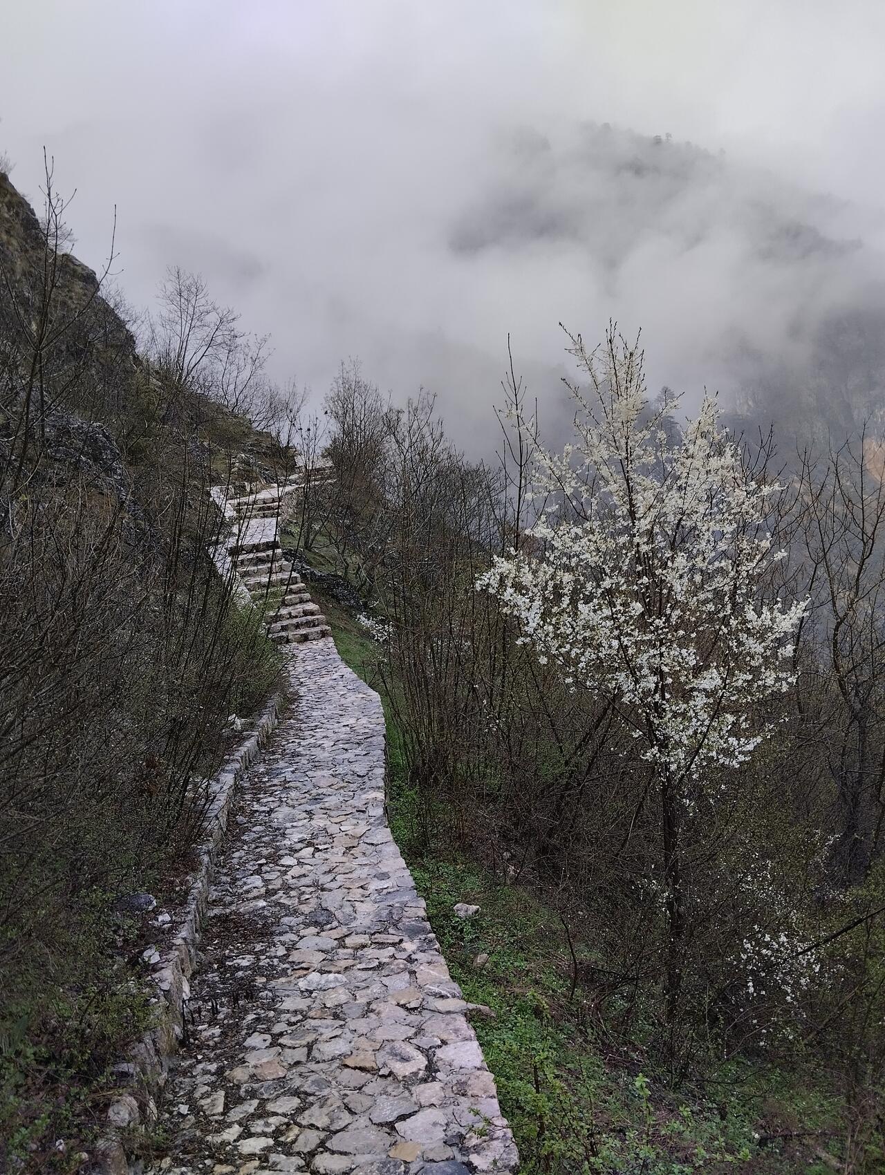 Так выглядит начало тропы