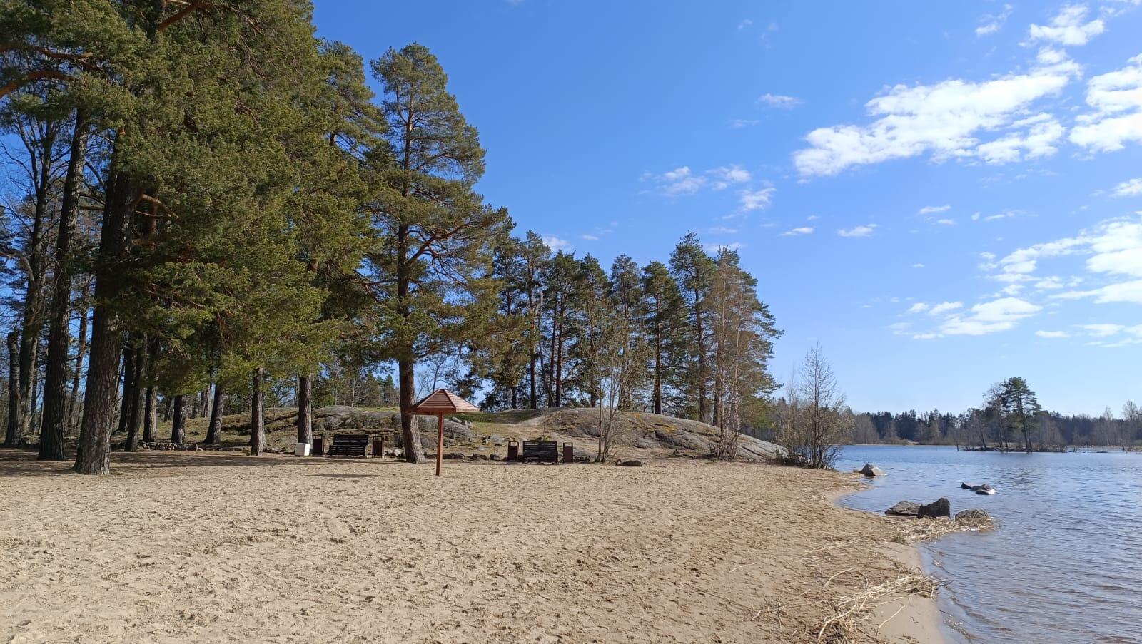 Без подписи