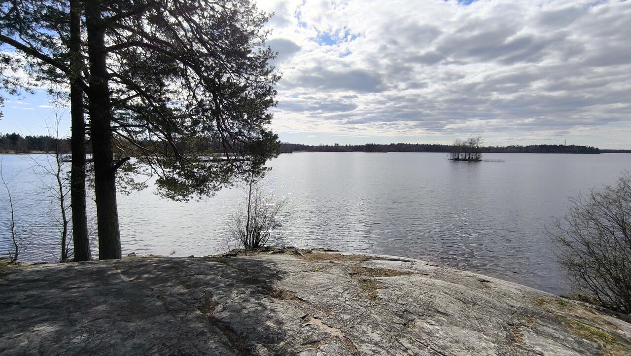 Без подписи