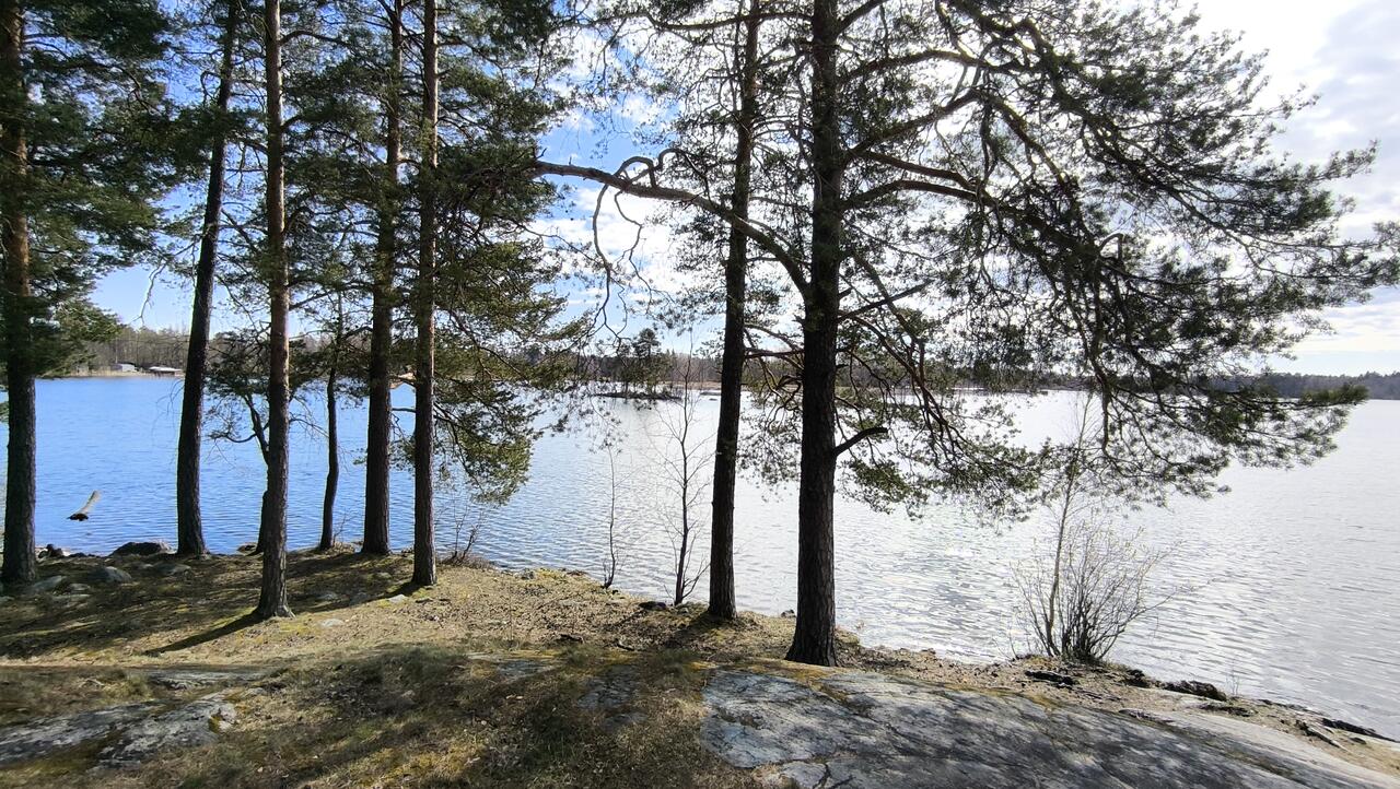 Без подписи