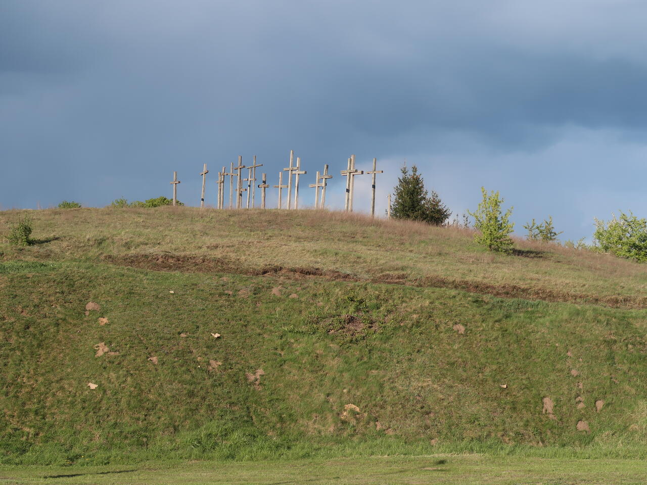 Без подписи